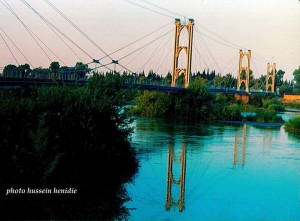 13714327_1117467064999692_1787803518_n