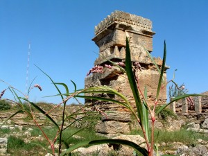 14997142_716605875163823_1373983148_n