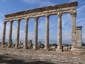 15086774_720353321455745_1161529500_n