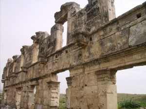 15128748_720353348122409_2141539819_n