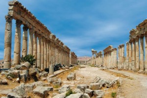 15129998_720353378122406_775840717_n