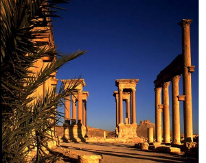 15665980_741272916030452_202206296_n