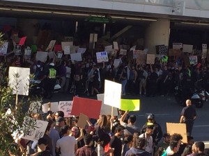 16467370_1282594441798645_1074502191_n