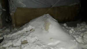 WhatsApp Image 2017-01-29 at 6.55.16 PM